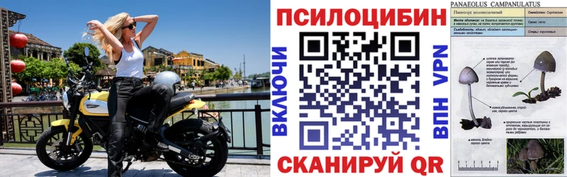 Псилоцибиновые грибы Magic Shrooms  Купить  Партизанск 